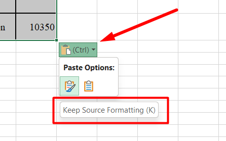 red rectangle highlights “Keep Source Formatting (K)” in Paste Options in Excel
